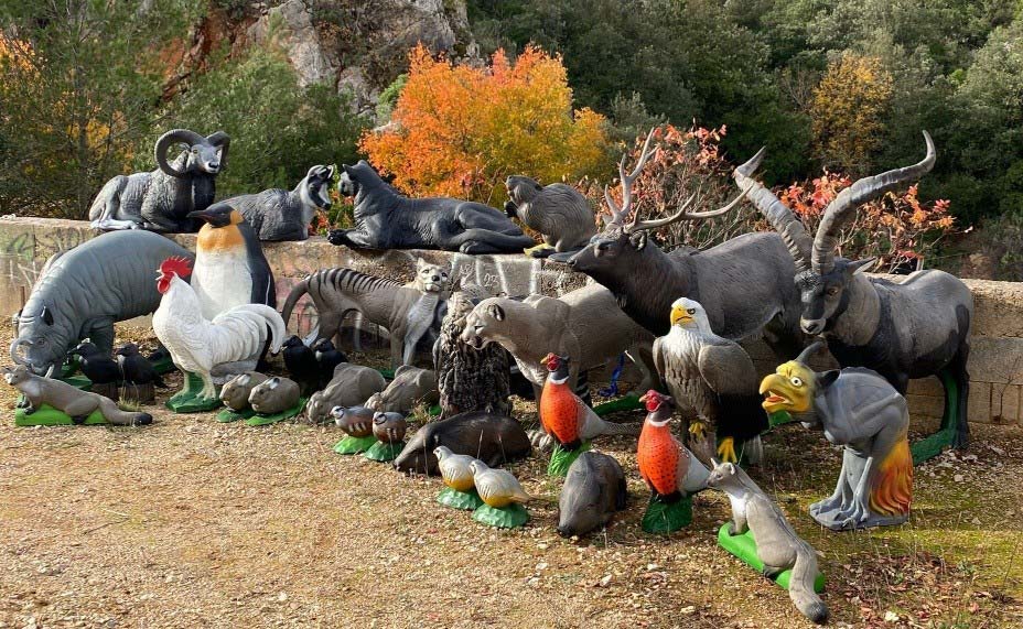 Concours officiel F.F.T.L – Les Mohicans Maximinois